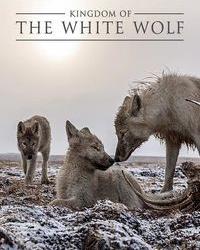 Королевство белого волка (2019) смотреть онлайн